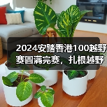 港百越野赛安踏装备助力跑者突破极限-启闻网 港百越野赛安踏装备助力跑者突破极限-启闻网