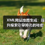 XML网站地图生成:提升搜索引擎排名的秘密武器 XML网站地图生成:提升搜索引擎排名的秘密武器