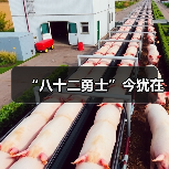 “八十二勇士”今犹在 “八十二勇士”今犹在