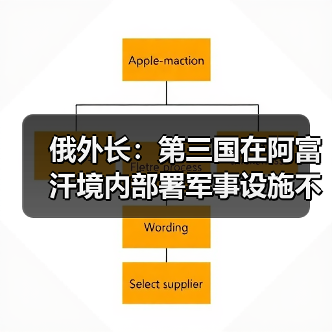 俄外长:第三国在阿富汗境内部署军事设施不可接受 俄外长:第三国在阿富汗境内部署军事设施不可接受