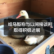 哈马斯称与以间接谈判取得积极进展