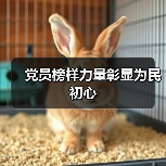 党员的好样子一眼能看出来吗?群众怎么识别党员形象-启闻网 党员的好样子一眼能看出来吗?群众怎么识别党员形象-启闻网