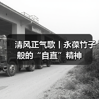 共产党员如何永葆竹子般的”自直”精神?-启闻网 共产党员如何永葆竹子般的”自直”精神?-启闻网
