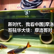 一带一路倡议成就与未来发展方向解析-启闻网 一带一路倡议成就与未来发展方向解析-启闻网