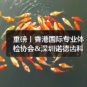 强强联手!大湾区跨境医疗如何突破发展瓶颈?-启闻网 强强联手!大湾区跨境医疗如何突破发展瓶颈?-启闻网