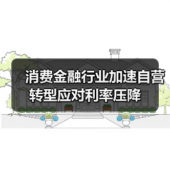 消费金融行业如何应对利率压降与转型挑战?-启闻网 消费金融行业如何应对利率压降与转型挑战?-启闻网