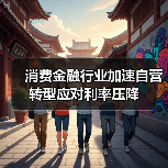 消费金融行业如何应对利率压降与转型挑战?-启闻网 消费金融行业如何应对利率压降与转型挑战?-启闻网
