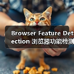 浏览器功能检测:如何让网页智能感知用户设备?-启闻网 浏览器功能检测:如何让网页智能感知用户设备?-启闻网