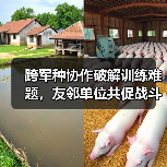跨军种协同作战训练如何破解实战难题?-启闻网 跨军种协同作战训练如何破解实战难题?-启闻网