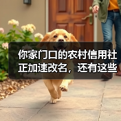 省联社改革加速落地:两种模式如何差异化推进?-启闻网 省联社改革加速落地:两种模式如何差异化推进?-启闻网