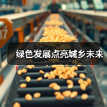 绿色发展如何推动城乡均衡?乡村振兴新路径揭秘-启闻网 绿色发展如何推动城乡均衡?乡村振兴新路径揭秘-启闻网