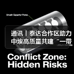 泰达合作区如何推动中埃合作发展?-启闻网 泰达合作区如何推动中埃合作发展?-启闻网