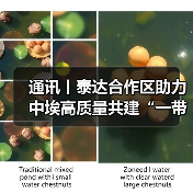 泰达合作区如何推动中埃合作发展?-启闻网 泰达合作区如何推动中埃合作发展?-启闻网