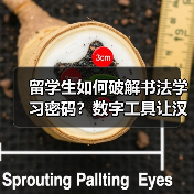 留学生书法学习新平台:数字工具破解汉字密码-启闻网 留学生书法学习新平台:数字工具破解汉字密码-启闻网