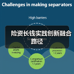 险资如何成为耐心资本的践行者?长期价值投资路在何方-启闻网 险资如何成为耐心资本的践行者?长期价值投资路在何方-启闻网