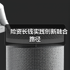 险资如何成为耐心资本的践行者?长期价值投资路在何方-启闻网 险资如何成为耐心资本的践行者?长期价值投资路在何方-启闻网