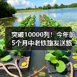 突破10000列!今年前5个月中老铁路发送旅客872万人次 突破10000列!今年前5个月中老铁路发送旅客872万人次