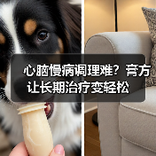 心脑慢病调理难?膏方让长期治疗变轻松 心脑慢病调理难?膏方让长期治疗变轻松