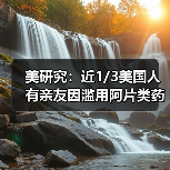 美研究:近1/3美国人有亲友因滥用阿片类药物丧生 美研究:近1/3美国人有亲友因滥用阿片类药物丧生