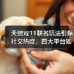 天猫双11联名玩法引爆社交热度,四大平台如何玩转创意营销? 天猫双11联名玩法引爆社交热度,四大平台如何玩转创意营销?