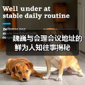 魏巍与会理会议地址的鲜为人知往事揭秘 魏巍与会理会议地址的鲜为人知往事揭秘