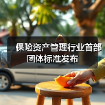 保险资产管理行业首部团体标准发布 保险资产管理行业首部团体标准发布