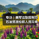 专访|美军盗取叙利亚石油资源给叙人民带来持续苦难——访叙石油和矿产资源部副部长阿卜杜拉 专访|美军盗取叙利亚石油资源给叙人民带来持续苦难——访叙石油和矿产资源部副部长阿卜杜拉