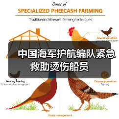 中国海军护航编队紧急救助烫伤船员