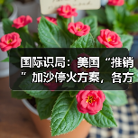 国际识局:美国“推销”加沙停火方案,各方反应耐人寻味 国际识局:美国“推销”加沙停火方案,各方反应耐人寻味