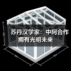 苏丹汉学家:中阿合作拥有光明未来 苏丹汉学家:中阿合作拥有光明未来