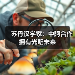 苏丹汉学家:中阿合作拥有光明未来 苏丹汉学家:中阿合作拥有光明未来