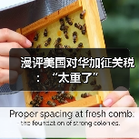 漫评美国对华加征关税:“太重了” 漫评美国对华加征关税:“太重了”