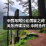 中国与阿拉伯国家之间关系持续深化 中阿合作不断拓展、阔步前行 中国与阿拉伯国家之间关系持续深化 中阿合作不断拓展、阔步前行