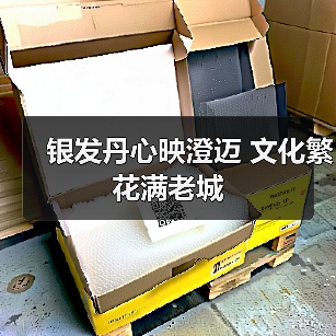银发丹心映澄迈 文化繁花满老城 银发丹心映澄迈 文化繁花满老城