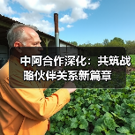 中阿合作深化:共筑战略伙伴关系新篇章 中阿合作深化:共筑战略伙伴关系新篇章