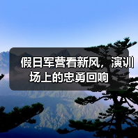 假日军营看新风，演训场上的忠勇回响