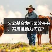 公募基金发行量效齐升,背后推动力何在? 公募基金发行量效齐升,背后推动力何在?