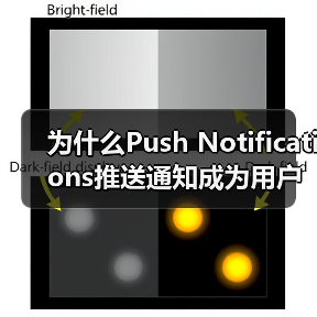 为什么Push Notifications推送通知成为用户重新参与的秘密武器? 为什么Push Notifications推送通知成为用户重新参与的秘密武器?