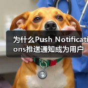 为什么Push Notifications推送通知成为用户重新参与的秘密武器? 为什么Push Notifications推送通知成为用户重新参与的秘密武器?