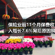 保险业前11个月保费收入增长7.6%背后原因解析 保险业前11个月保费收入增长7.6%背后原因解析