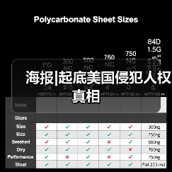 海报|起底美国侵犯人权真相