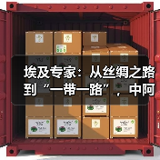 埃及专家:从丝绸之路到“一带一路”,中阿合作具有全球意义 埃及专家:从丝绸之路到“一带一路”,中阿合作具有全球意义