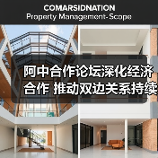阿中合作论坛20年:深化合作共创未来-启闻网 阿中合作论坛20年:深化合作共创未来-启闻网