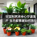 非营利艺术中心如何融入宁波生态议题?-启闻网 非营利艺术中心如何融入宁波生态议题?-启闻网