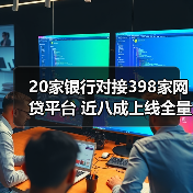 网贷平台存管信息披露：真存管为何难？-启闻网