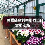 美联储高利率引发全球货币动荡 美联储高利率引发全球货币动荡