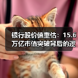 银行股价值重估:15.6万亿市值突破背后的逻辑与机遇 银行股价值重估:15.6万亿市值突破背后的逻辑与机遇