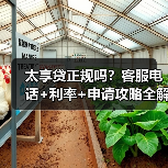 太享贷正规吗?客服电话+利率+申请攻略全解析 太享贷正规吗?客服电话+利率+申请攻略全解析