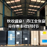 秋收盛宴!丹江全鱼宴带你看丰收好时节 秋收盛宴!丹江全鱼宴带你看丰收好时节