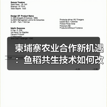 柬埔寨农业合作新机遇:鱼稻共生技术如何改变产业 柬埔寨农业合作新机遇:鱼稻共生技术如何改变产业